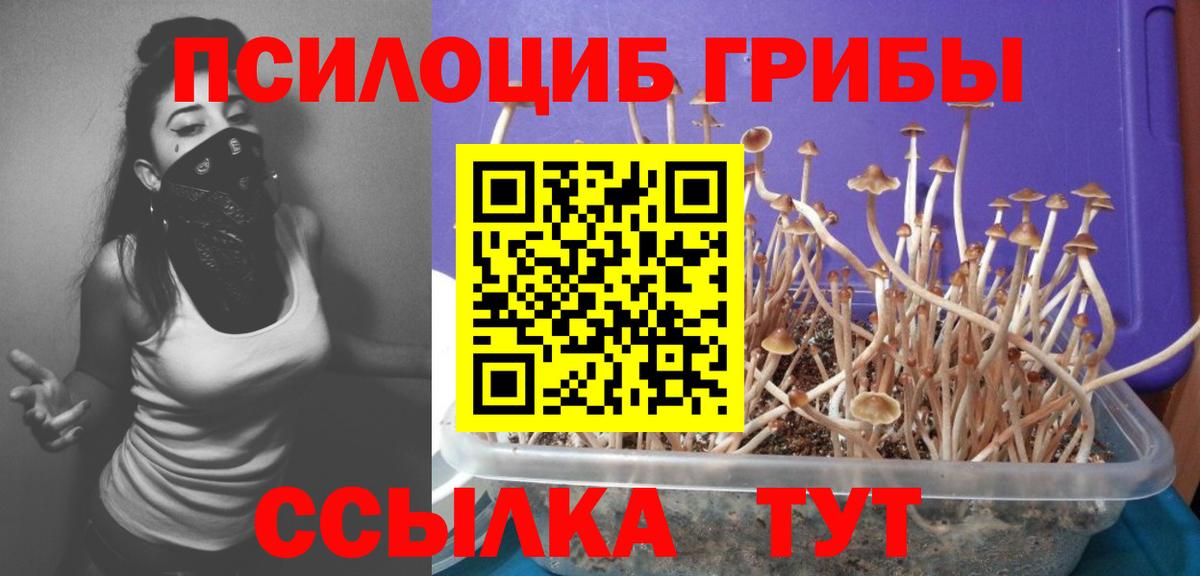 Галлюциногенные грибы мухоморы  купить  сайты  Гудермес  Вход с VPN 